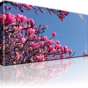 Magnolien Blumen Kunstdruck 