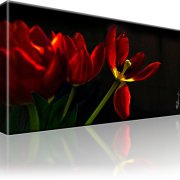 Tulpe Blumen Wandbild auf Leinwand 