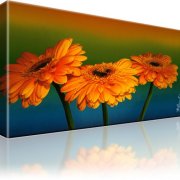 Gerbera Blume Wandbild 