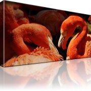 Flamingo Wandbild 