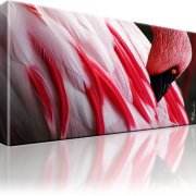 Flamingo Kunstdruck 