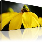Blume Gelb Kunstdruck 