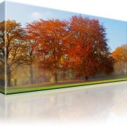 Park Wald Herbst Wandbild auf Leinwand 