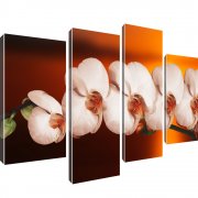 Orchidee Blume Kunstdruck 4-Teilig: 100x60 cm | Orange