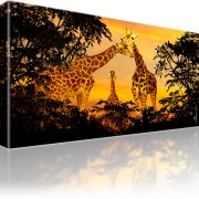 Giraffen Afrika Tiere Leinwandbild 