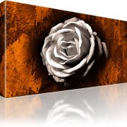 Rose Blume Abstrakt Wandbild auf Leinwand 