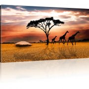 Savanne in Afrika Bild auf Leinwand 