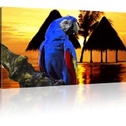 Papagei Ara Wandbilder 