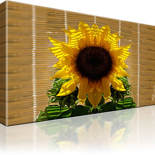 Sonnenblume Wandbild 