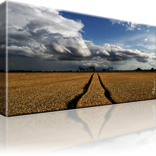 Horizont Wiese Landschaft Wandbild 