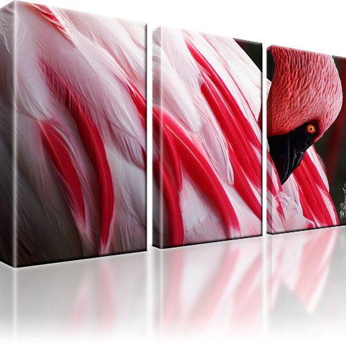 Flamingo Kunstdruck 3-Teilig: 105x60 cm | Mehrfarbig