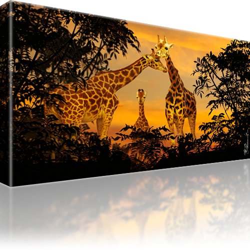 Giraffen Afrika Bild auf Leinwand 