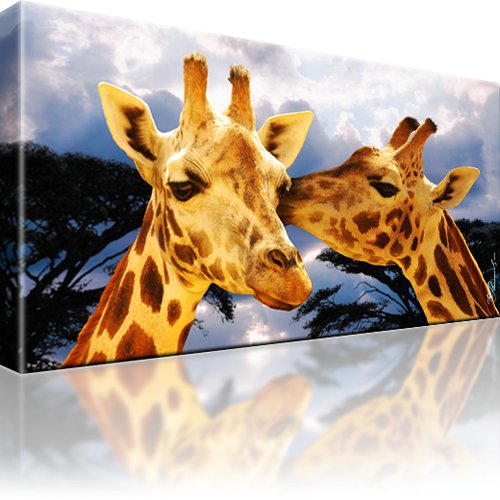 Giraffen Afrika Wandbild 