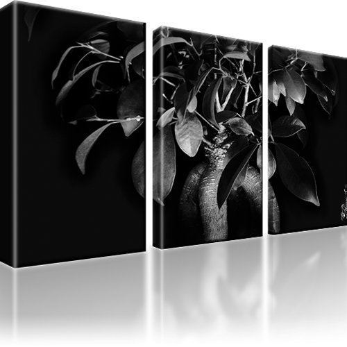 Bonsai Baum Bild auf Leinwand 3-Teilig: 105x60 cm | Schwarz-weiss