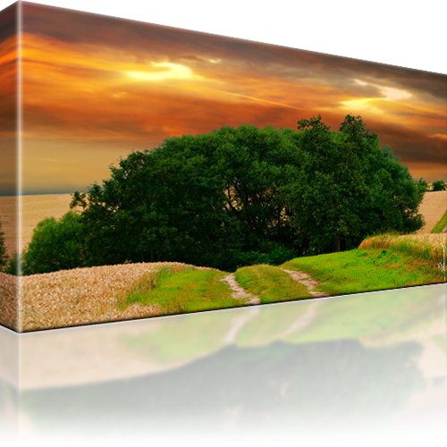 Landschaft Baum Kunstdruck 1-Teilig: 100x55 cm