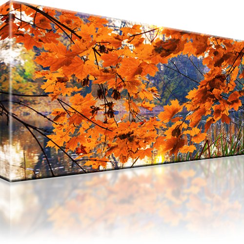 See Park Wald Herbst Wandbild 