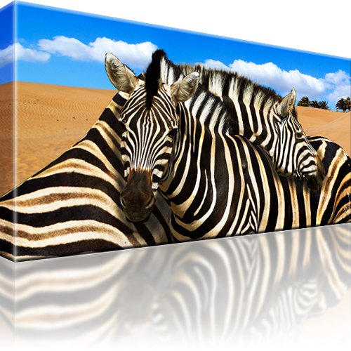 Zebra Tiere Afrika Dünen Wandbild 