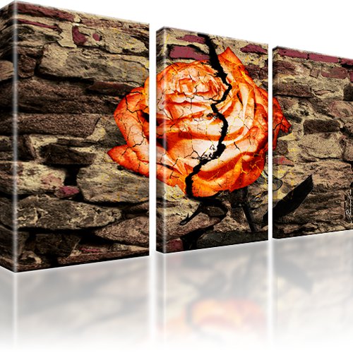 Rose Abstrakt Mauer Bild auf Leinwand 3-Teilig: 165x100 cm