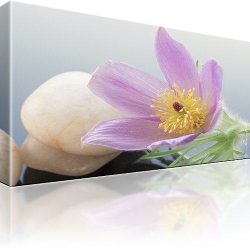 Finger Kuhschelle Blume Wandbild 
