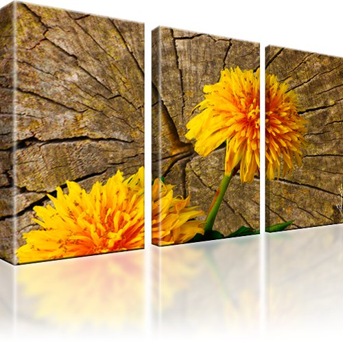 Pusteblume Blume Bild auf Leinwand 3-Teilig: 105x60 cm