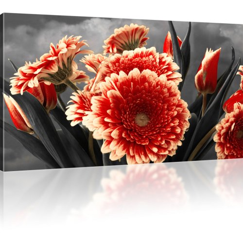 Gerbera Blumen Leinwandbild 