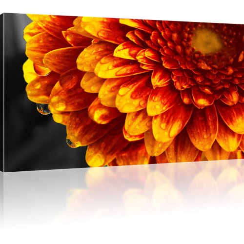 Gerbera Blume Wandbild 