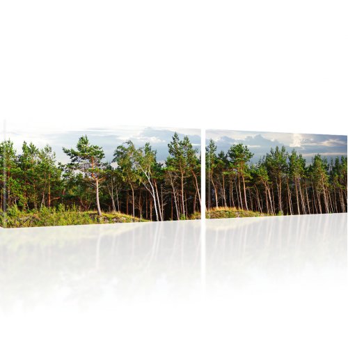 Panorama Wald Bild auf Leinwand 
