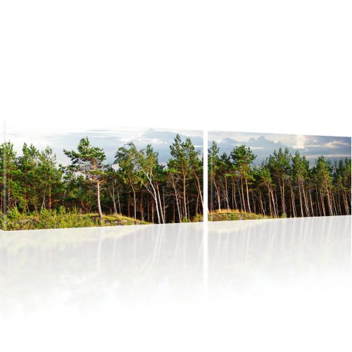 Panorama Wald Bild auf Leinwand 