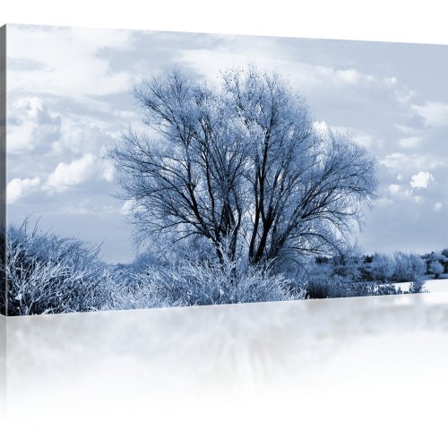 Baum im Winter als Kunstdruck 