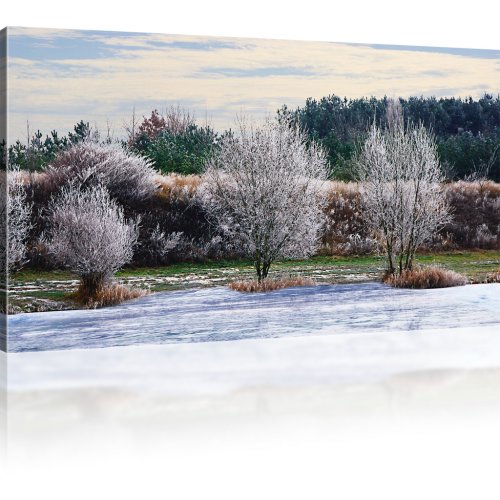 Bäume am Fluss im Winter als Kunstdruck 