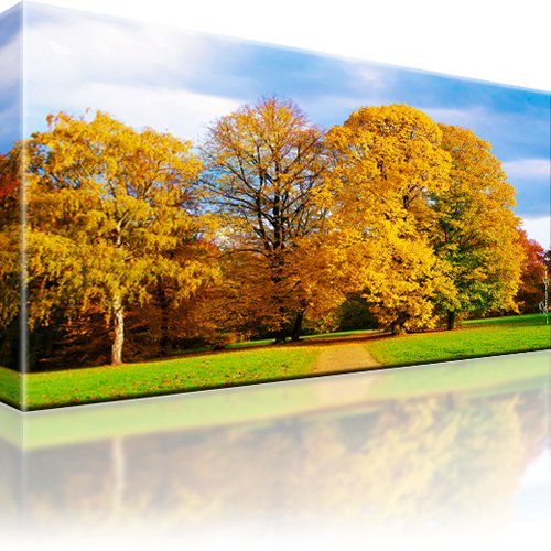Park Wald Herbst Wandbild 1-Teilig: 100x55 cm