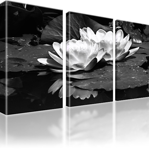 Seerose Blume Wandbild 3-Teilig: 105x60 cm | Schwarz-Weiss