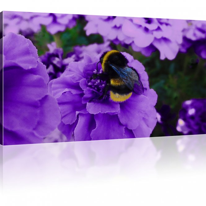 Biene auf der Blume als Kunstdruck 