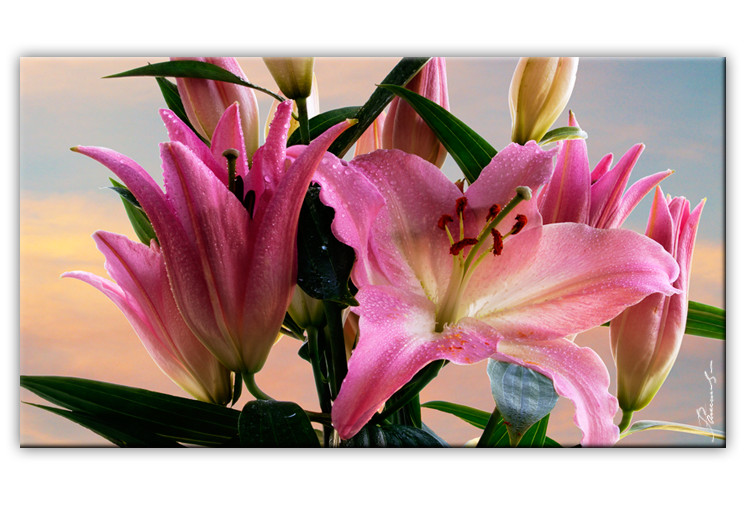 Blume Bilder Lilie Bild auf Leinwand mit Keilrahmen 