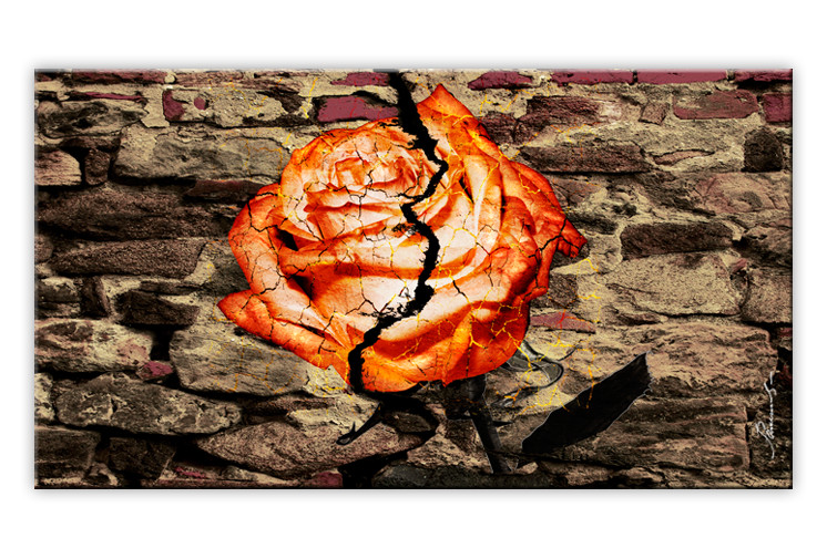 Rose Abstrakt Mauer Leinwandbilder Digitalart Mehrteilig 
